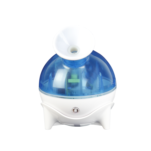 Cold Face Steamer