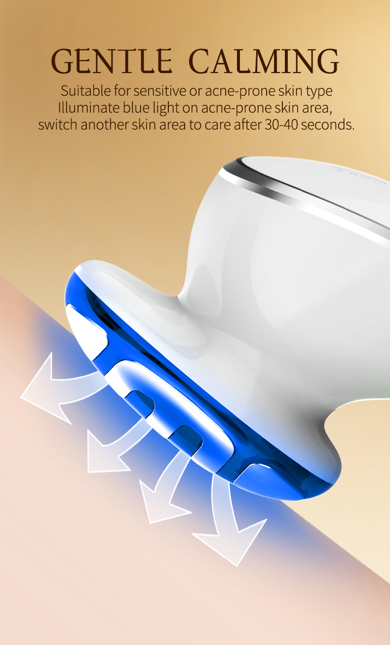 Facial beauty device